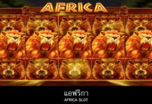 Africa slot game
